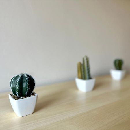 Mmrent Desert Room Gdansk Luaran gambar